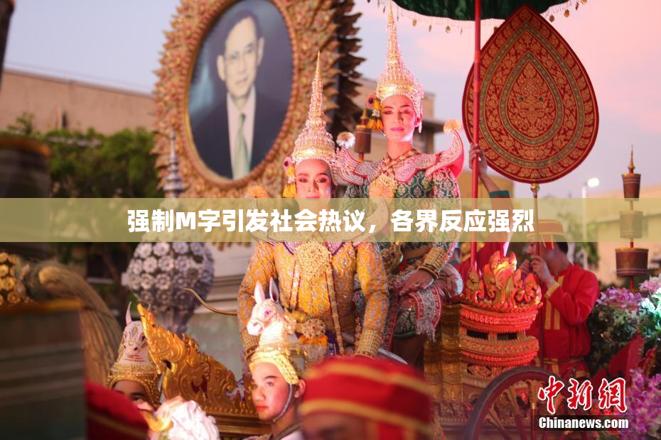 强制M字引发社会热议，各界反应强烈