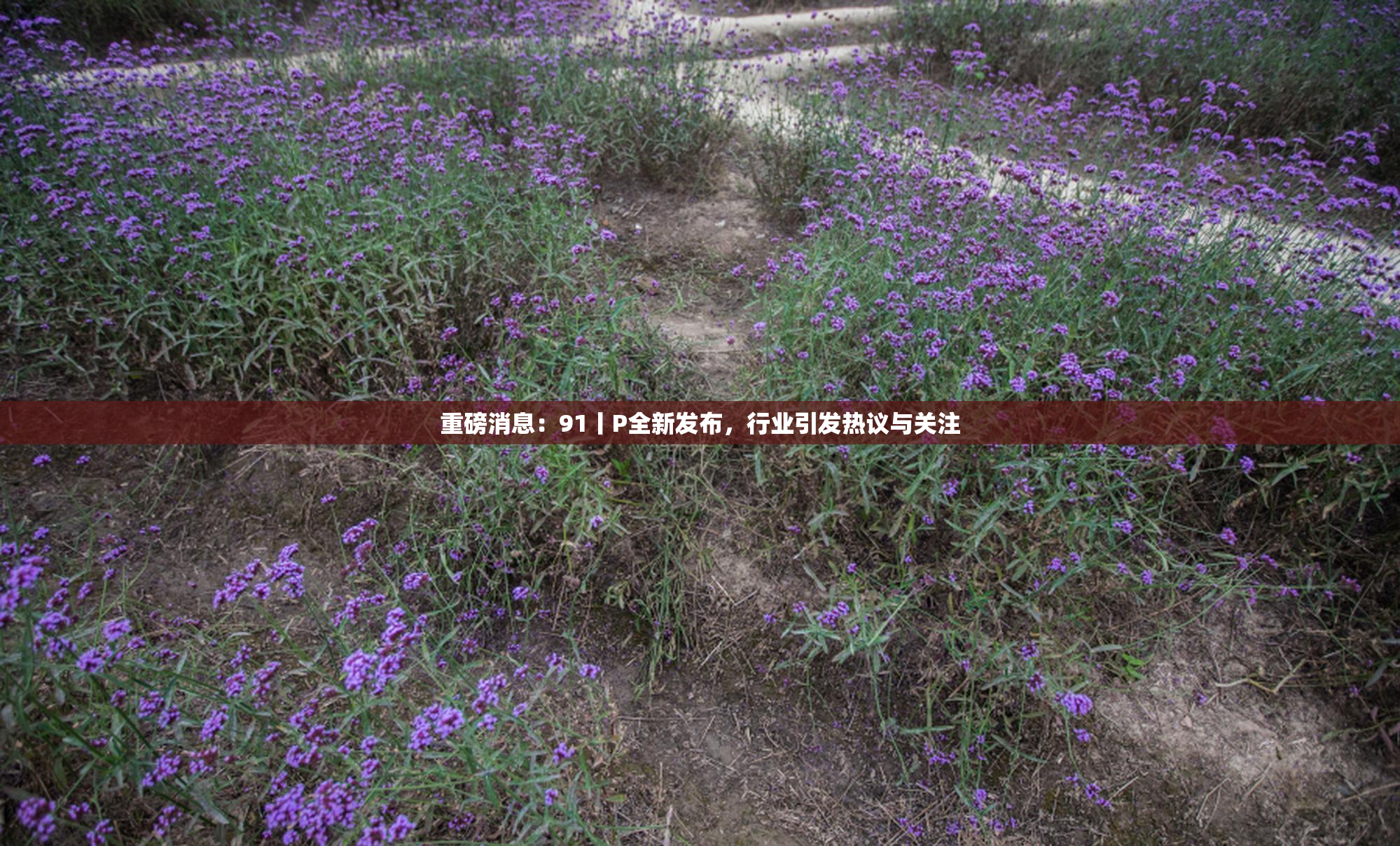 重磅消息：91丨P全新发布，行业引发热议与关注