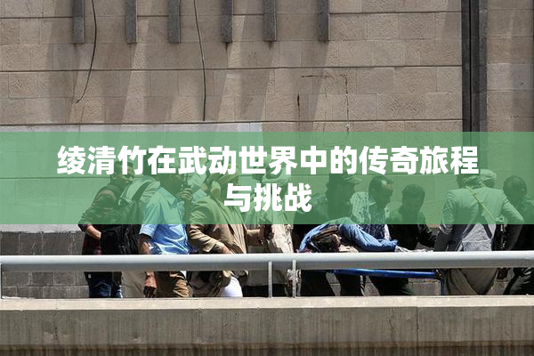 绫清竹在武动世界中的传奇旅程与挑战