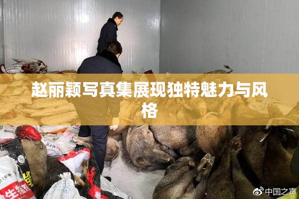 赵丽颖写真集展现独特魅力与风格
