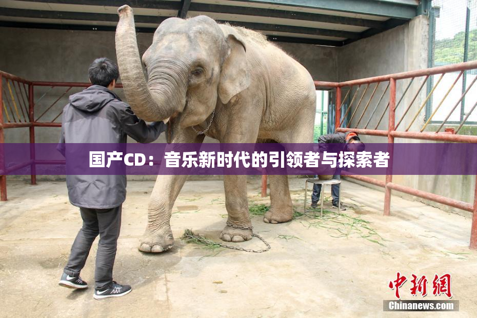 国产CD：音乐新时代的引领者与探索者