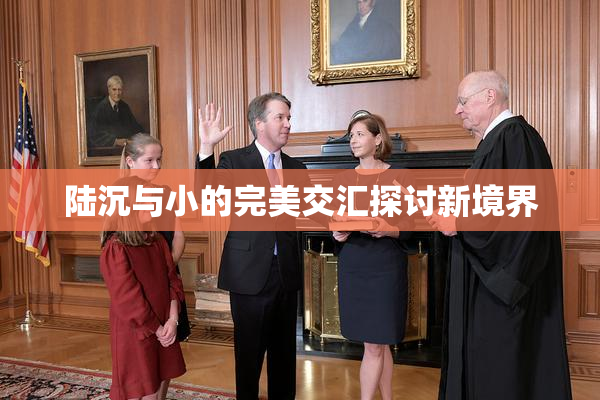 陆沉与小的完美交汇探讨新境界