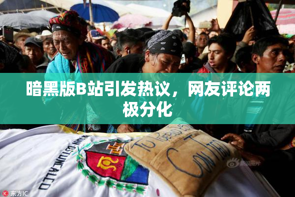 暗黑版B站引发热议，网友评论两极分化