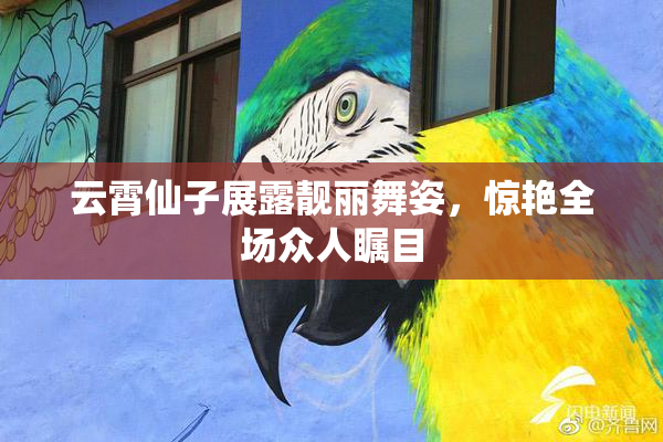 云霄仙子展露靓丽舞姿，惊艳全场众人瞩目