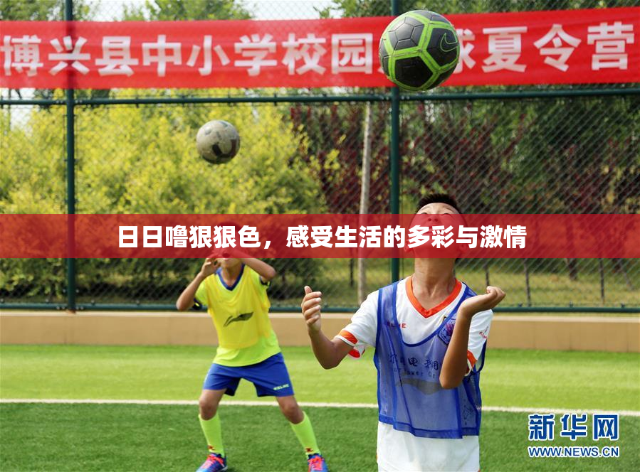 日日噜狠狠色，感受生活的多彩与激情