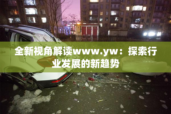 全新视角解读www.yw：探索行业发展的新趋势