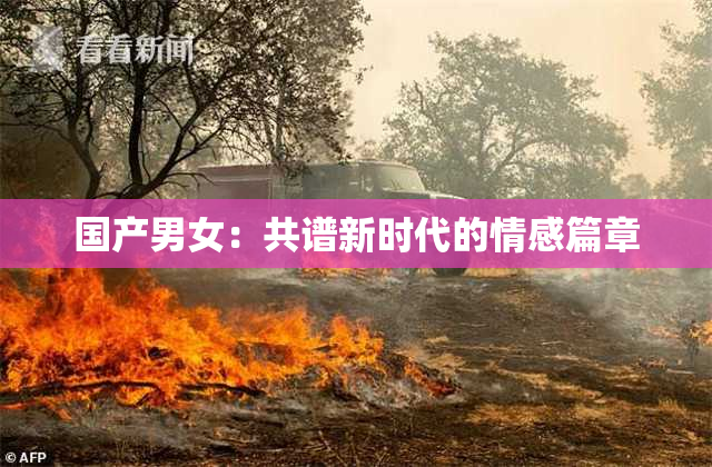 国产男女：共谱新时代的情感篇章