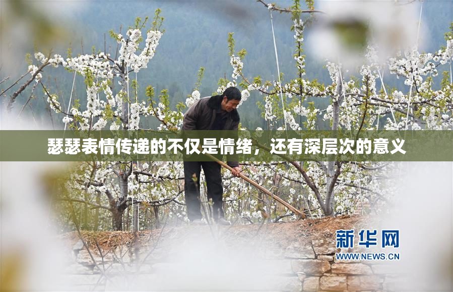 瑟瑟表情传递的不仅是情绪，还有深层次的意义