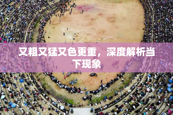 又粗又猛又色更重，深度解析当下现象