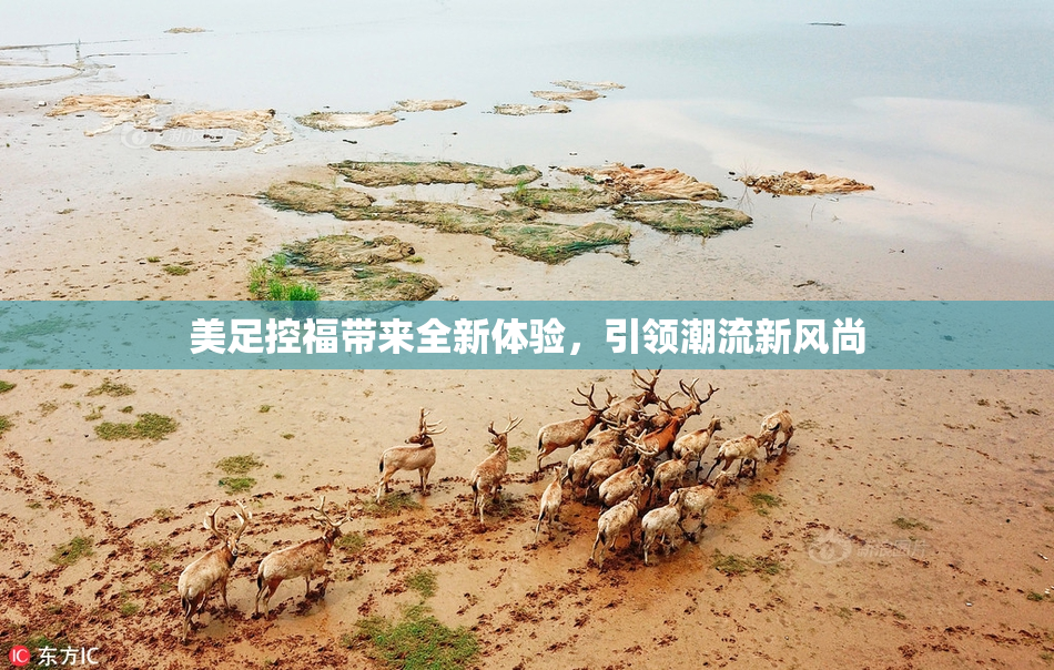 美足控福带来全新体验，引领潮流新风尚