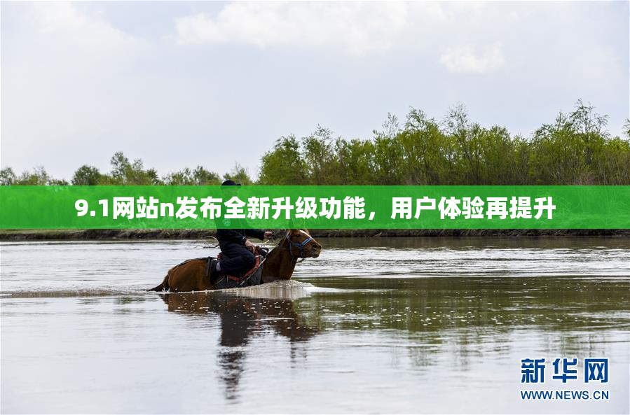 9.1网站n发布全新升级功能，用户体验再提升