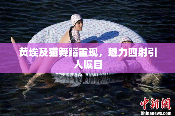 黄埃及猫舞蹈重现，魅力四射引人瞩目