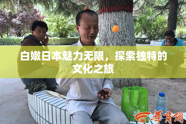 白嫩日本魅力无限，探索独特的文化之旅