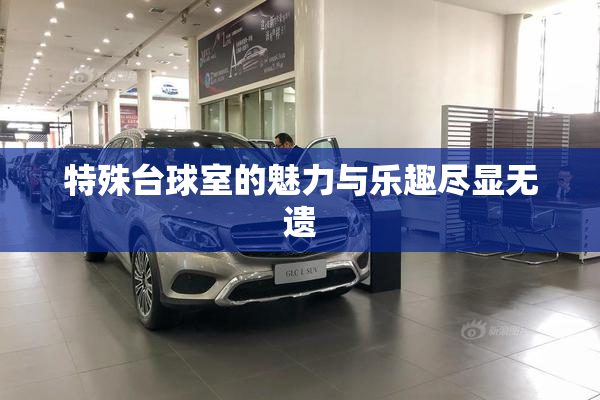 特殊台球室的魅力与乐趣尽显无遗