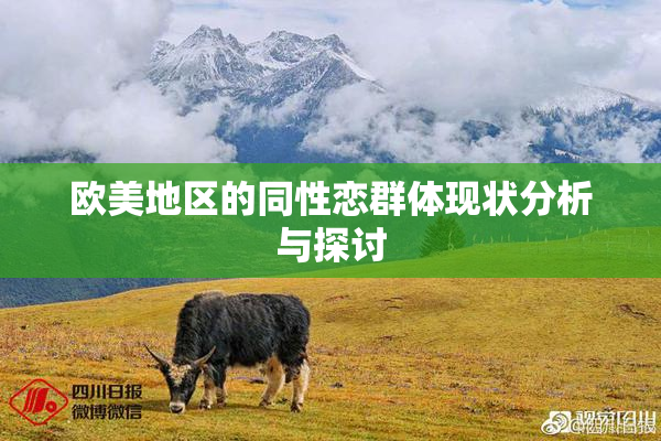 欧美地区的同性恋群体现状分析与探讨