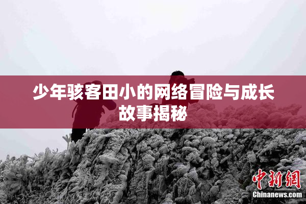 少年骇客田小的网络冒险与成长故事揭秘
