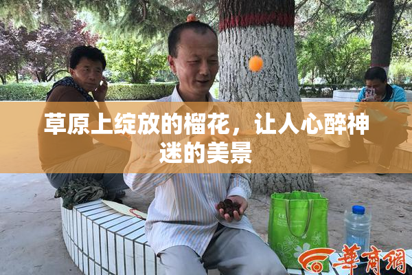 草原上绽放的榴花，让人心醉神迷的美景