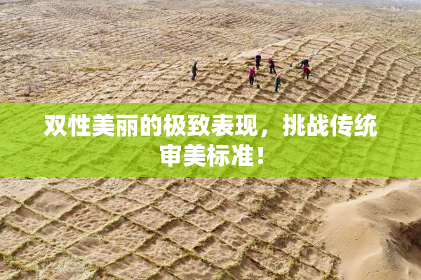 双性美丽的极致表现，挑战传统审美标准！