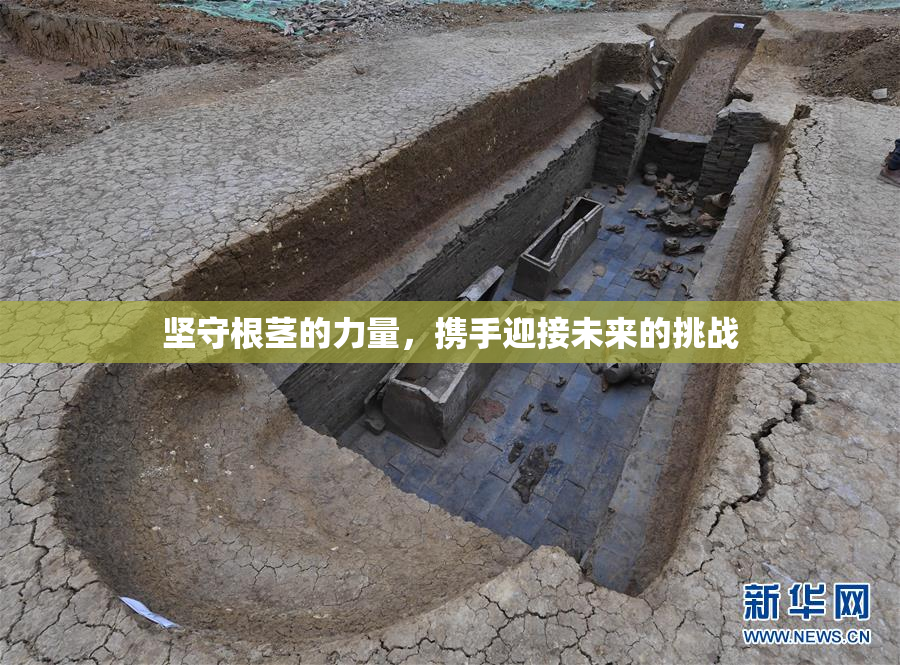 坚守根茎的力量，携手迎接未来的挑战