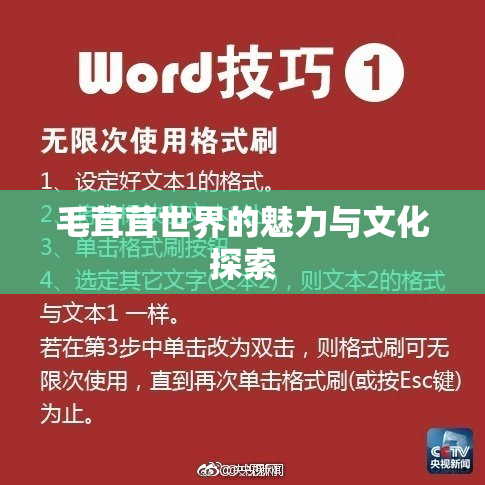 毛茸茸世界的魅力与文化探索