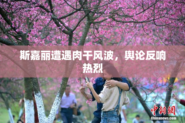 斯嘉丽遭遇肉干风波，舆论反响热烈