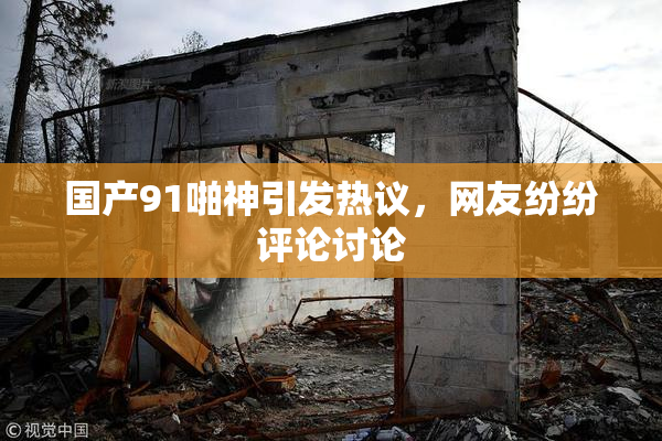 国产91啪神引发热议，网友纷纷评论讨论