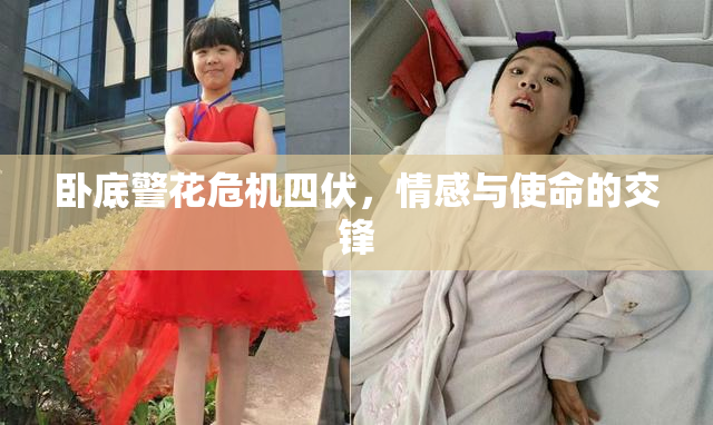 卧底警花危机四伏，情感与使命的交锋