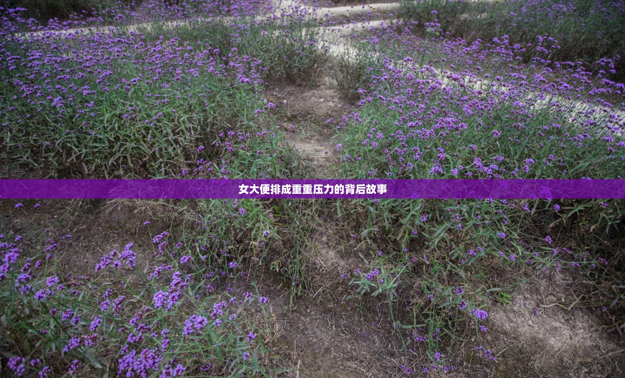 女大便排成重重压力的背后故事