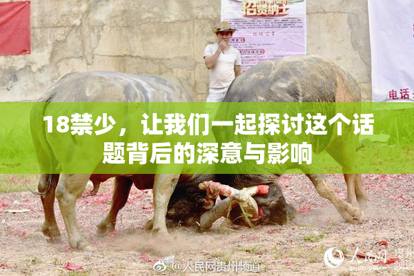 18禁少，让我们一起探讨这个话题背后的深意与影响