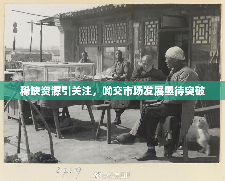 稀缺资源引关注，呦交市场发展亟待突破