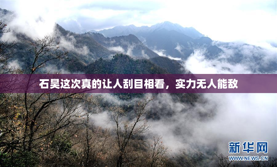 石昊这次真的让人刮目相看，实力无人能敌