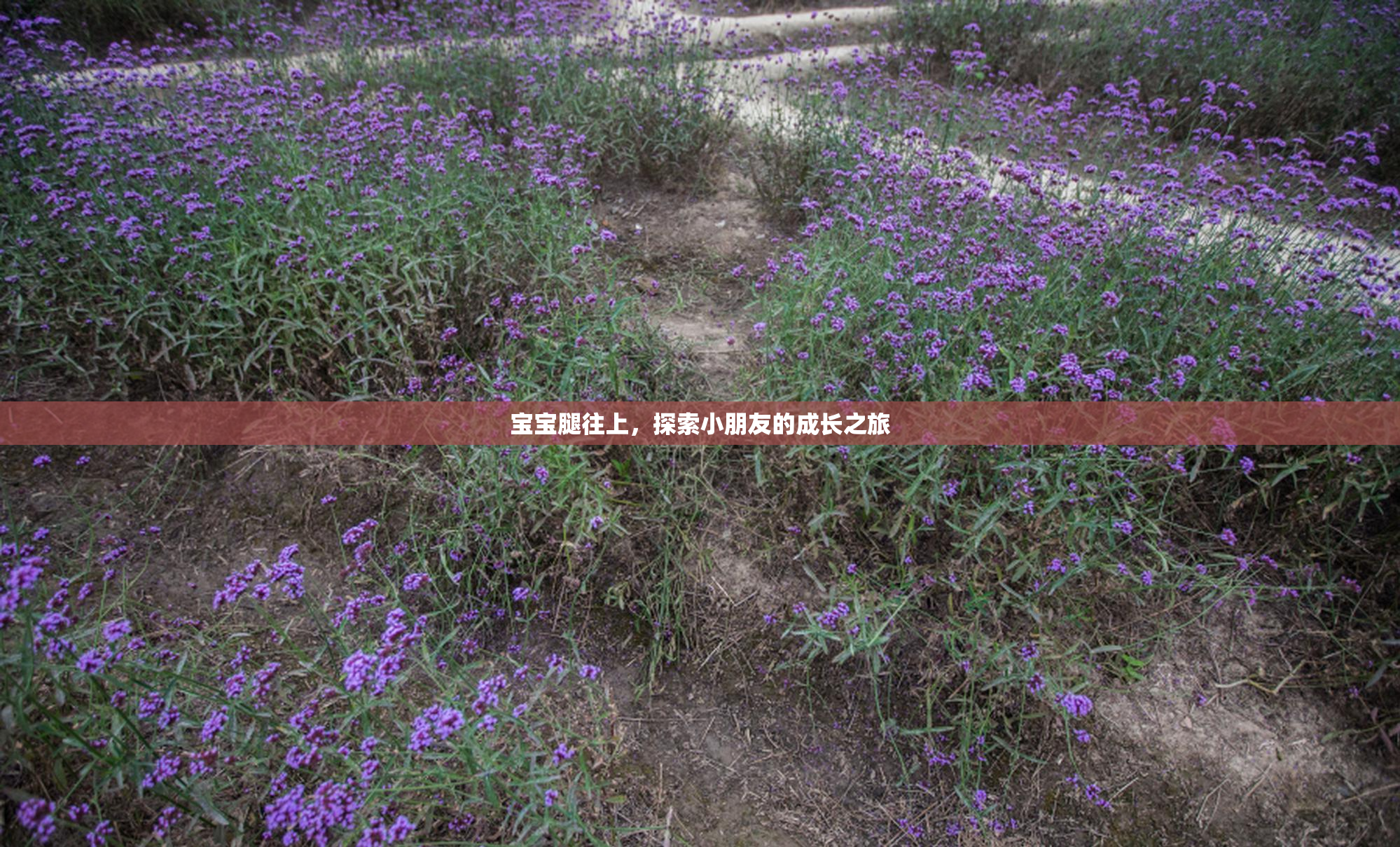 宝宝腿往上，探索小朋友的成长之旅