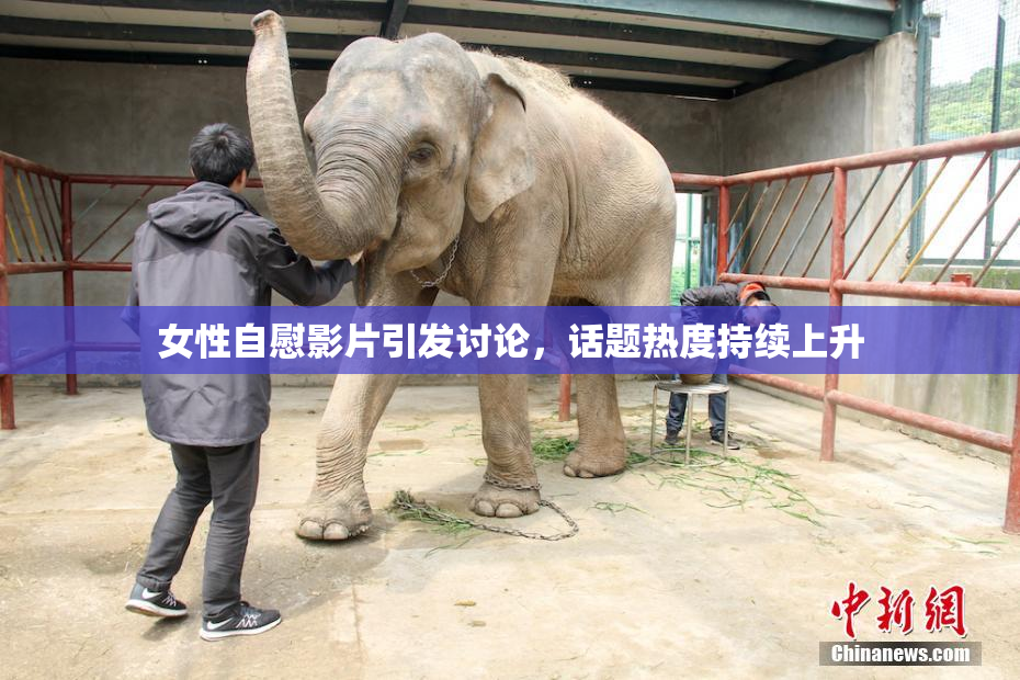 女性自慰影片引发讨论，话题热度持续上升