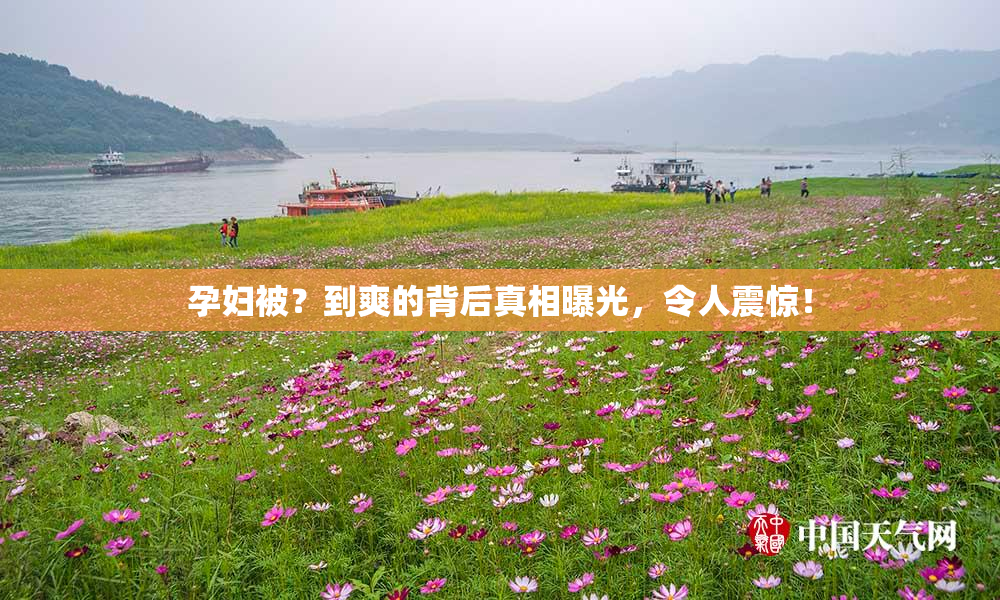 孕妇被？到爽的背后真相曝光，令人震惊！