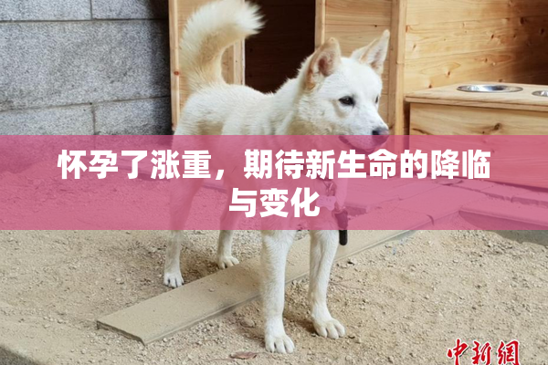 怀孕了涨重，期待新生命的降临与变化