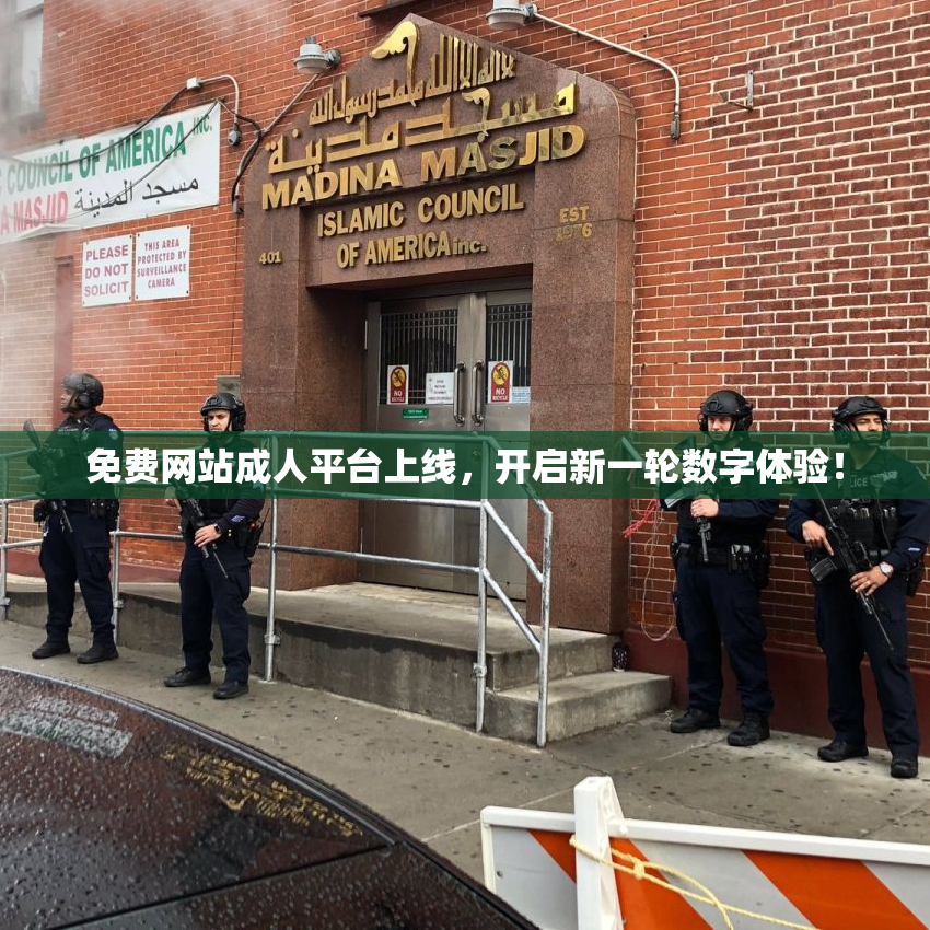 免费网站成人平台上线，开启新一轮数字体验！