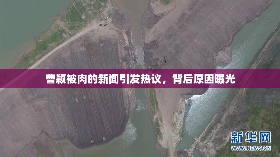 曹颖被肉的新闻引发热议，背后原因曝光