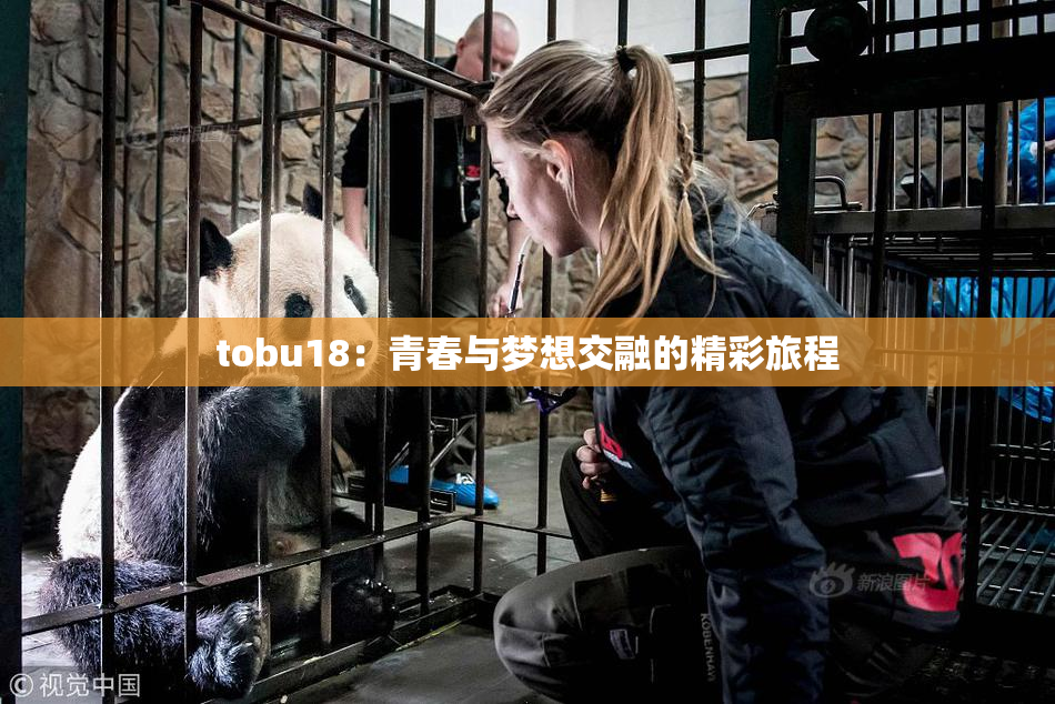 tobu18：青春与梦想交融的精彩旅程