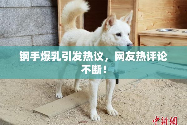 钢手爆乳引发热议，网友热评论不断！
