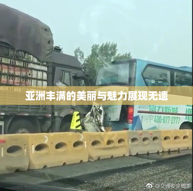 亚洲丰满的美丽与魅力展现无遗