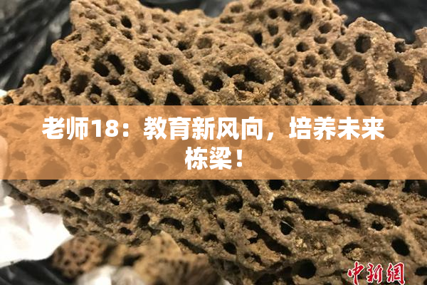 老师18：教育新风向，培养未来栋梁！