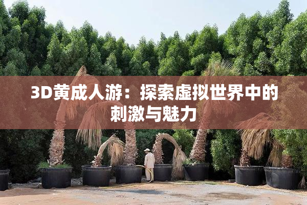 3D黄成人游：探索虚拟世界中的刺激与魅力