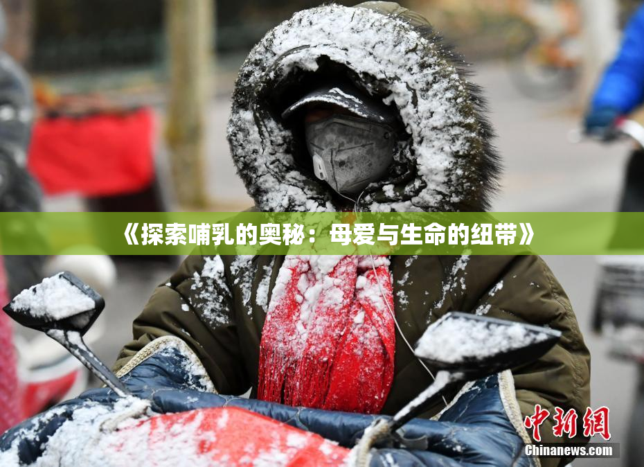 《探索哺乳的奥秘：母爱与生命的纽带》