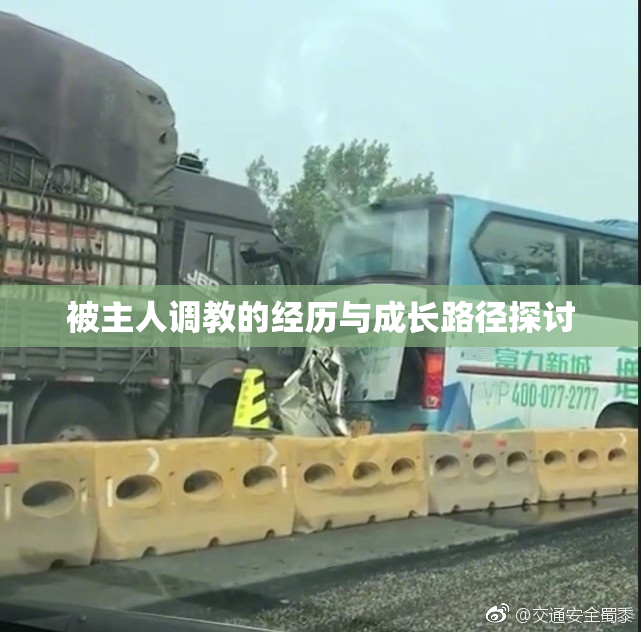 被主人调教的经历与成长路径探讨