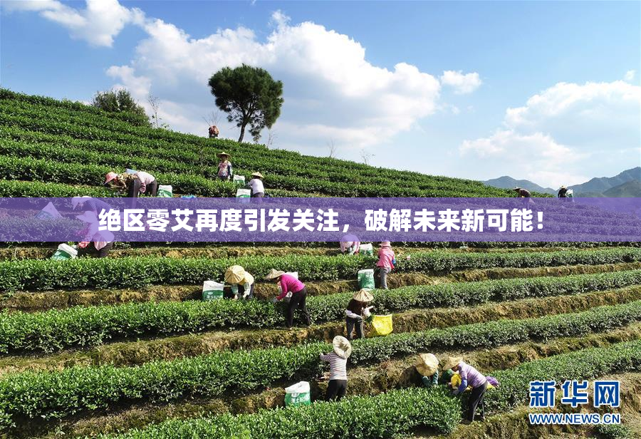 绝区零艾再度引发关注，破解未来新可能！