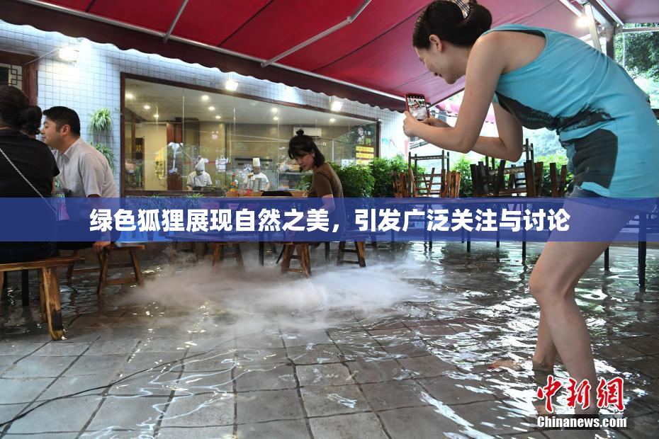 绿色狐狸展现自然之美，引发广泛关注与讨论