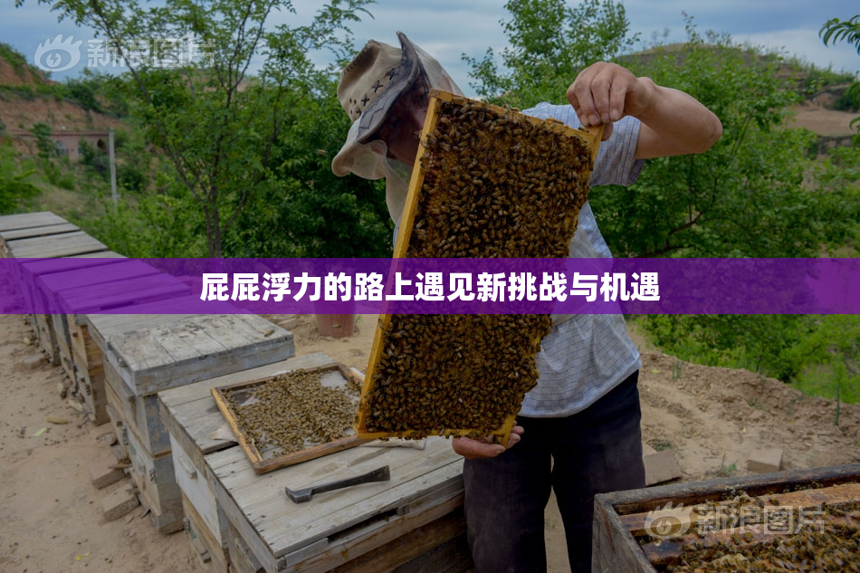 屁屁浮力的路上遇见新挑战与机遇