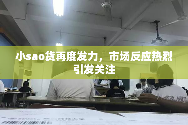 小sao货再度发力，市场反应热烈引发关注