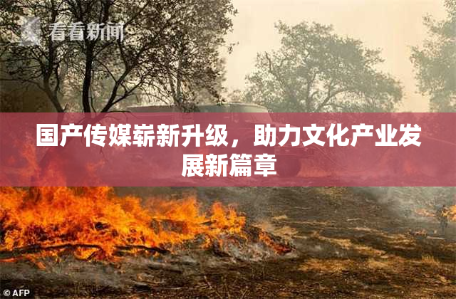 国产传媒崭新升级，助力文化产业发展新篇章