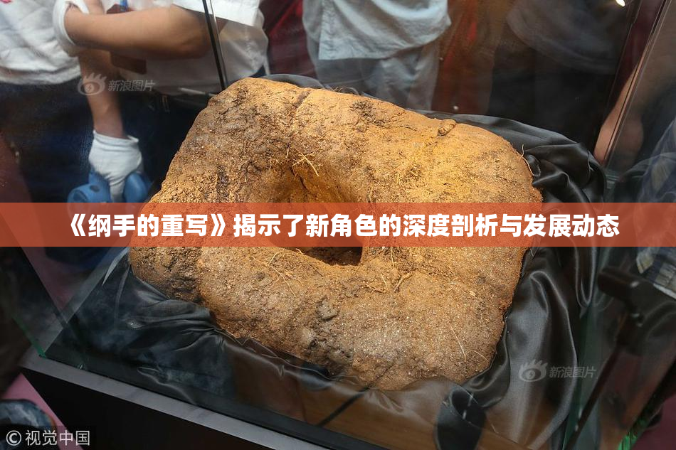 《纲手的重写》揭示了新角色的深度剖析与发展动态